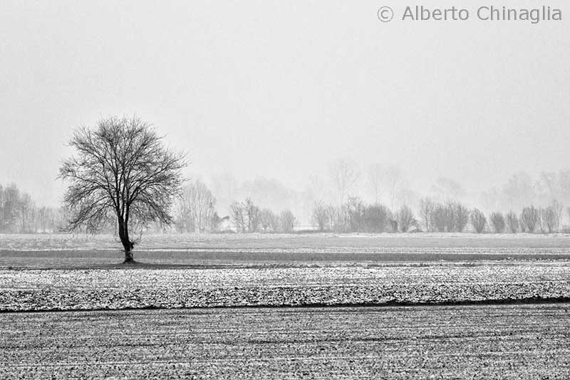 Copyright Alberto Chinaglia